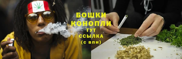 индика Сафоново