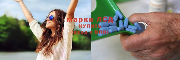 гидропоника Абаза