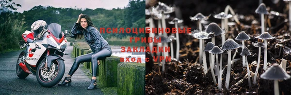 скорость Алексин